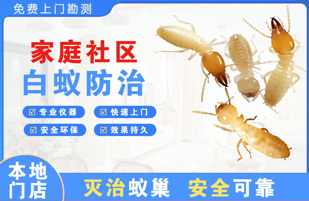 梧州家庭社区白蚁防治