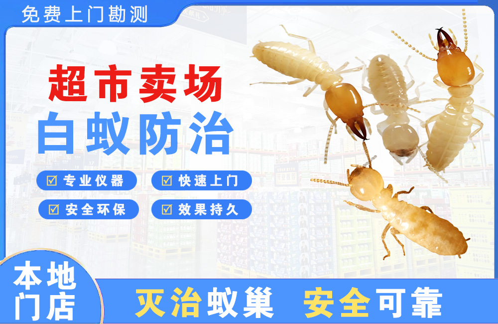 梧州超市卖场白蚁防治