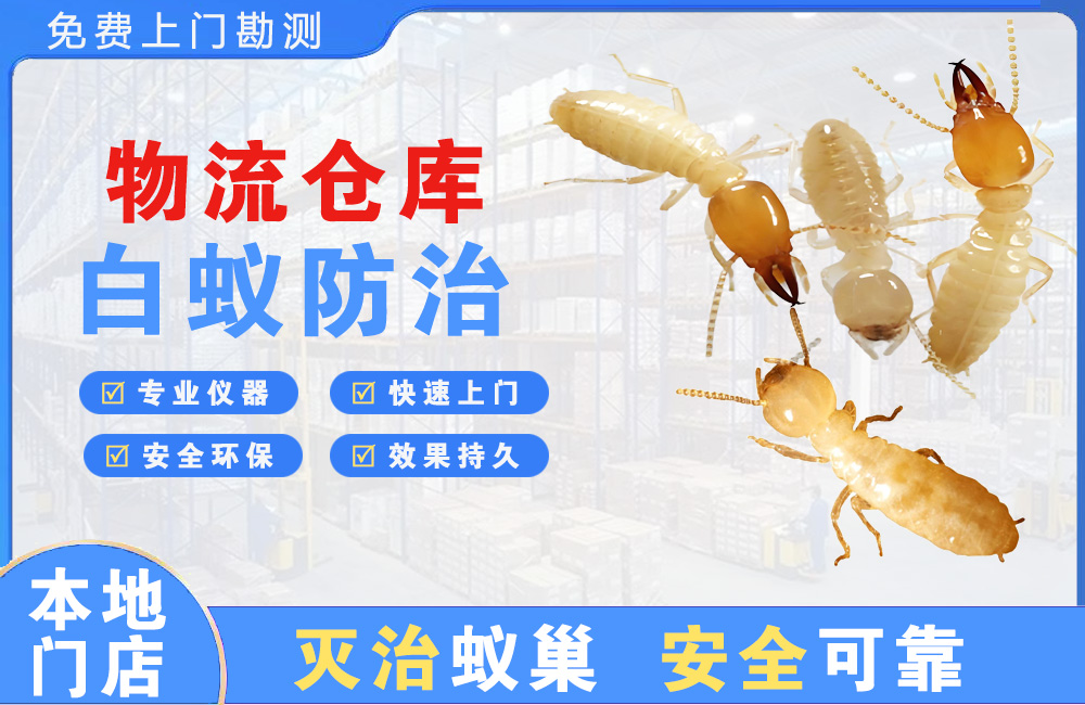梧州物流仓库白蚁防治