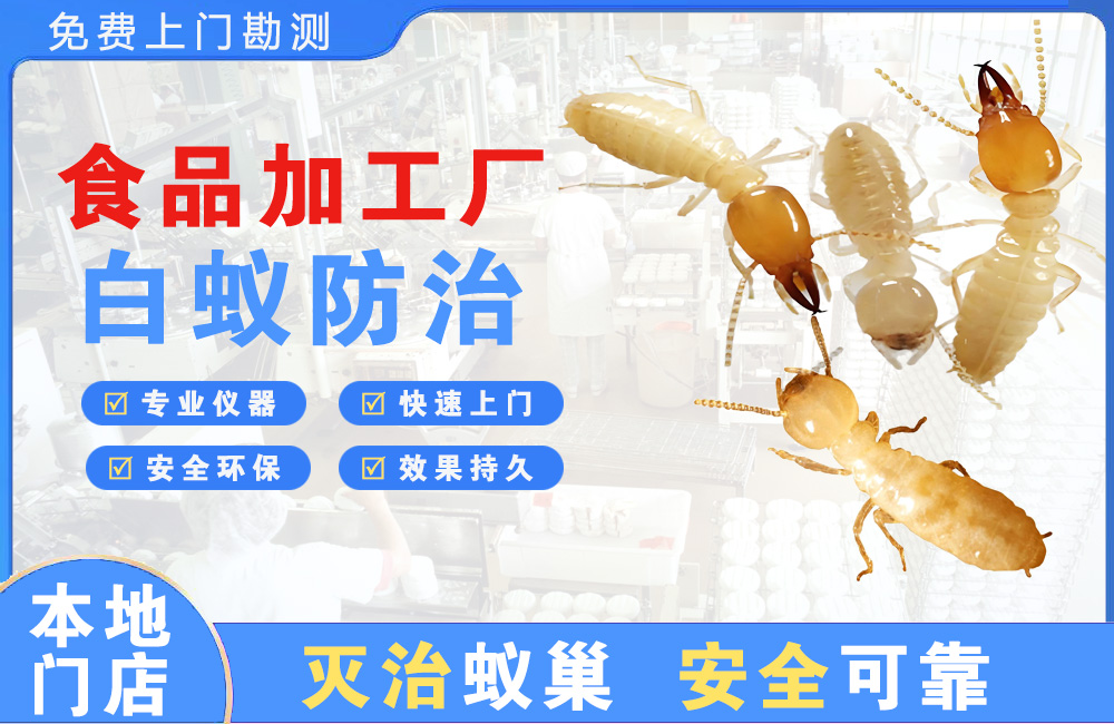 梧州食品加工厂白蚁防治