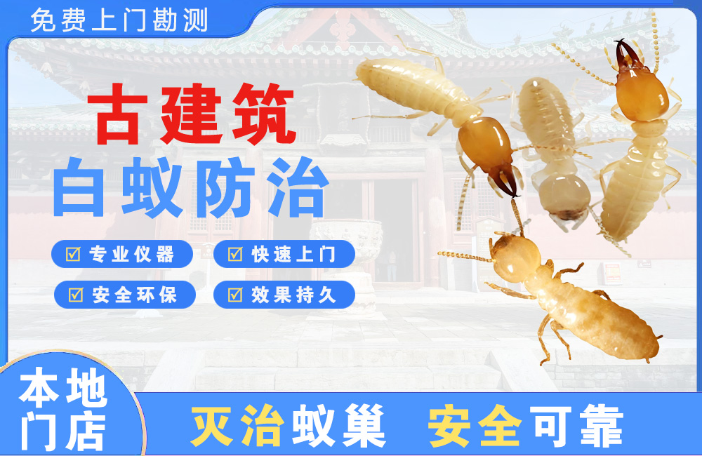 梧州古建筑白蚁防治