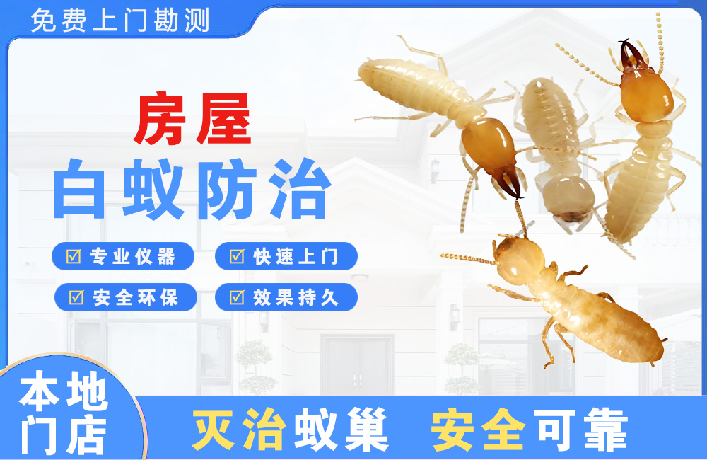 梧州房屋白蚁防治
